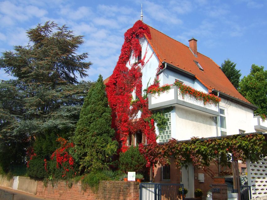 Studiogebäude Weinheim